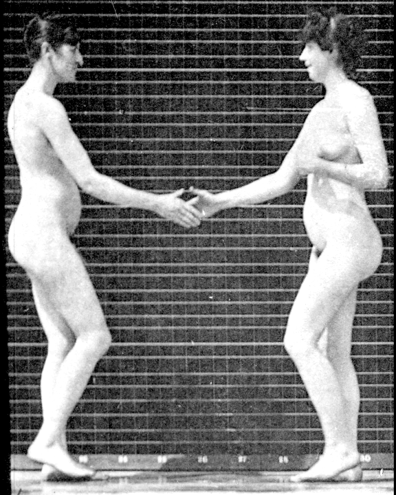 Femme Lesbian Equality